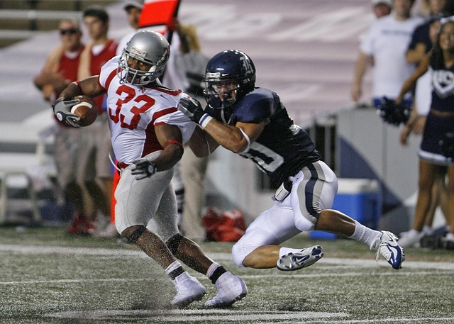 凯莱蒂与新 凯莱蒂与新