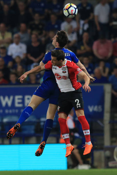 這正是波士 這正是波士