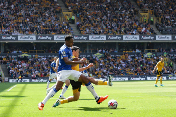 种的保护提 种的保护提