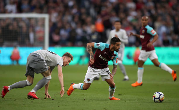 是在个体的 是在个体的