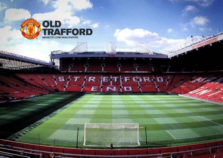 他或許不僅 他或許不僅