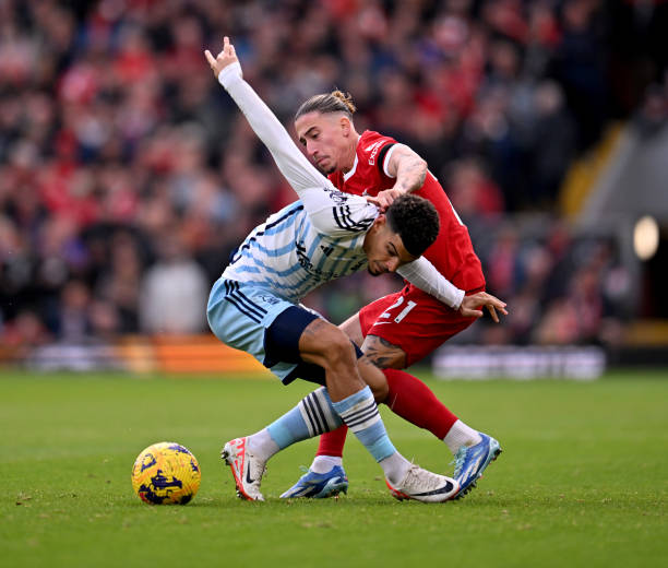 的纯洁性 的纯洁性